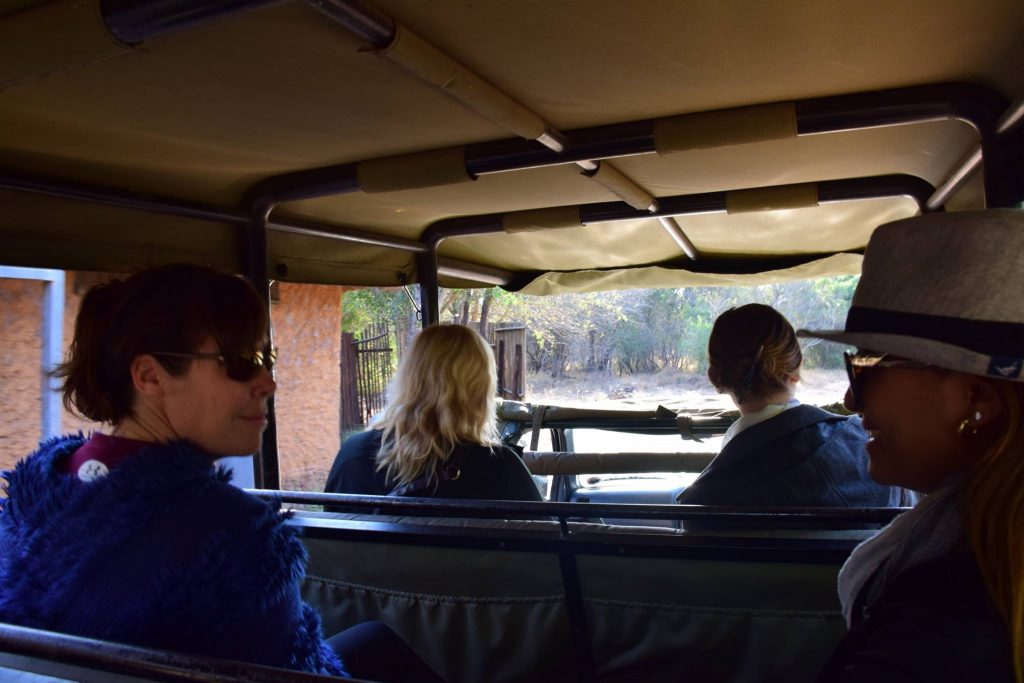 On safari with peers at Manyeleti Game Reserve, Johannesburg, South Africa
