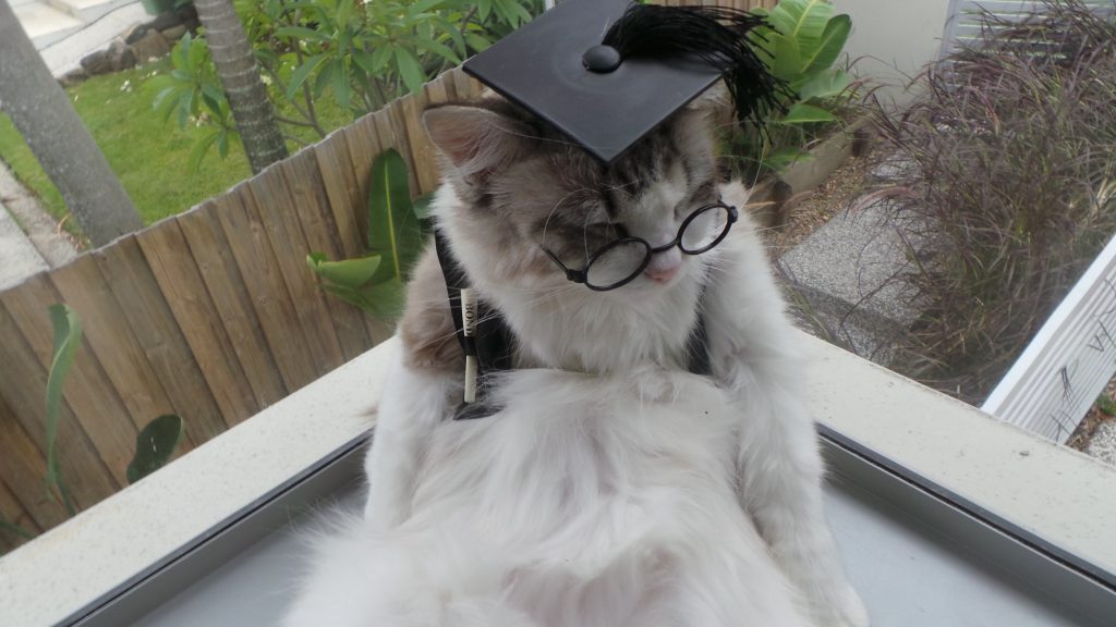 Patra in her Bond Uni graduation outfit